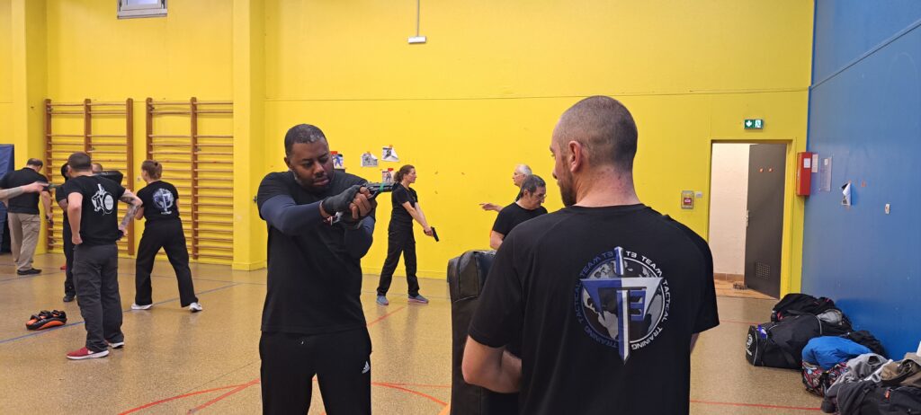 krav maga paris stage