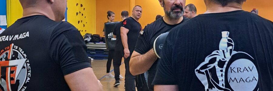 krav maga paris stage