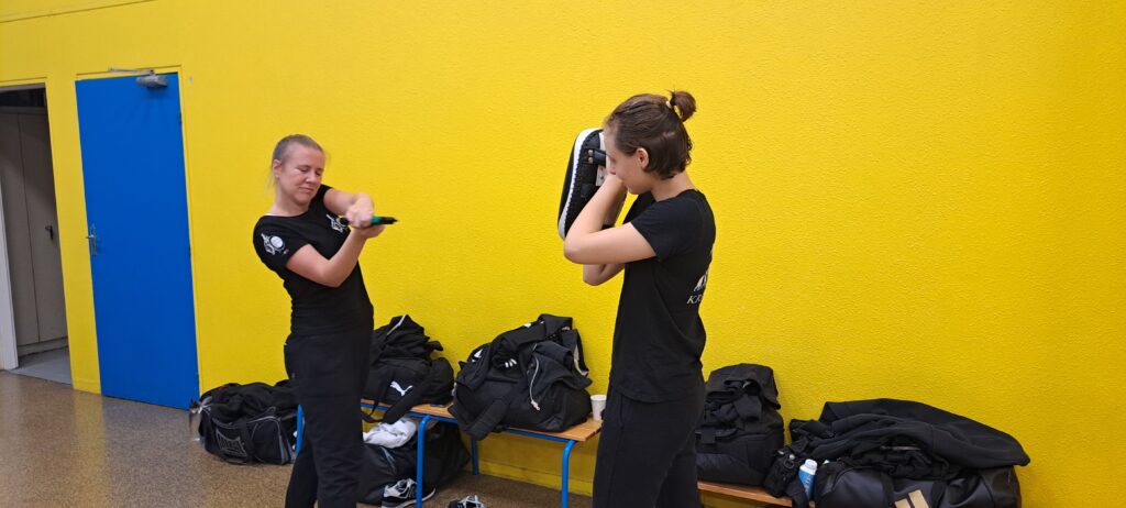 krav maga paris stage